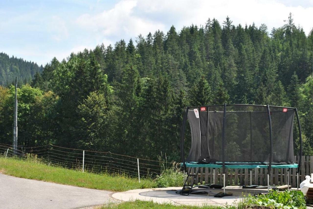 Familienbauernhof Glockriegl Βίλα Lunz am See Εξωτερικό φωτογραφία